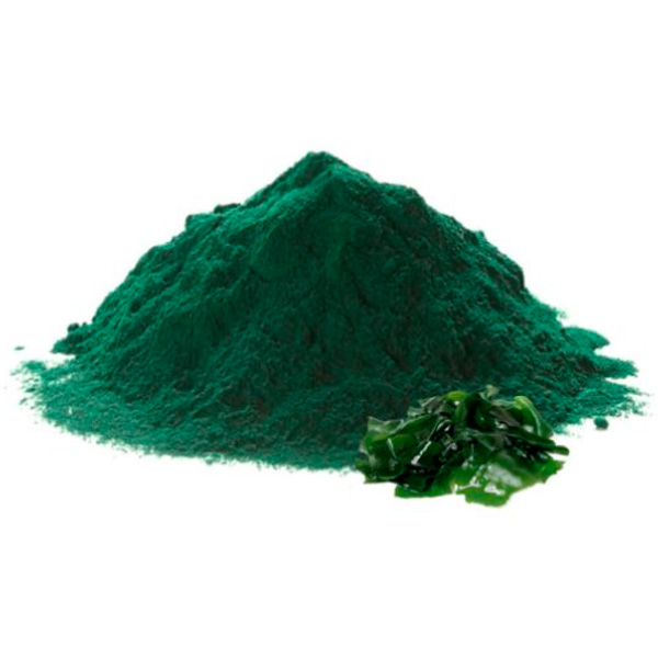 venta de espirulina
